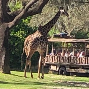 Meet your Posher, Hanson